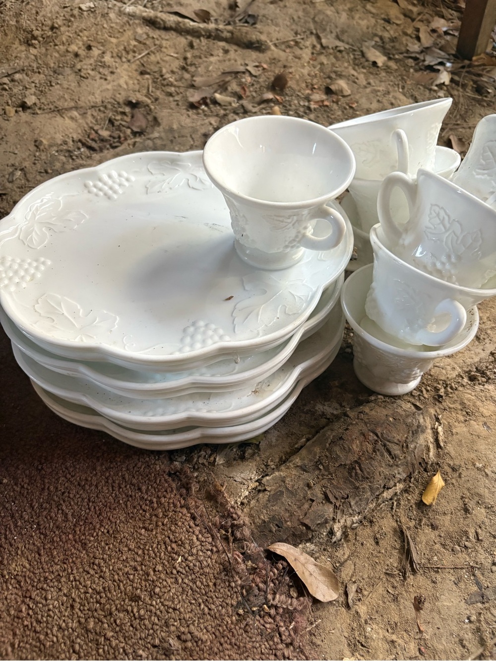 White Embossed Grape & Leaf Dinner Plate and Tea Cup Set - Home Dining